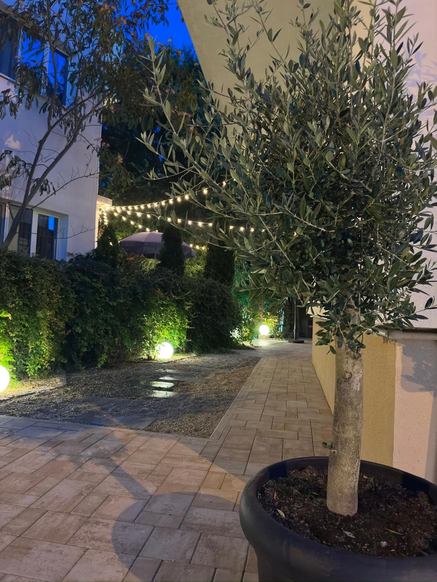 Plexus Boutique Hotel Eforie Sud  Exterior photo