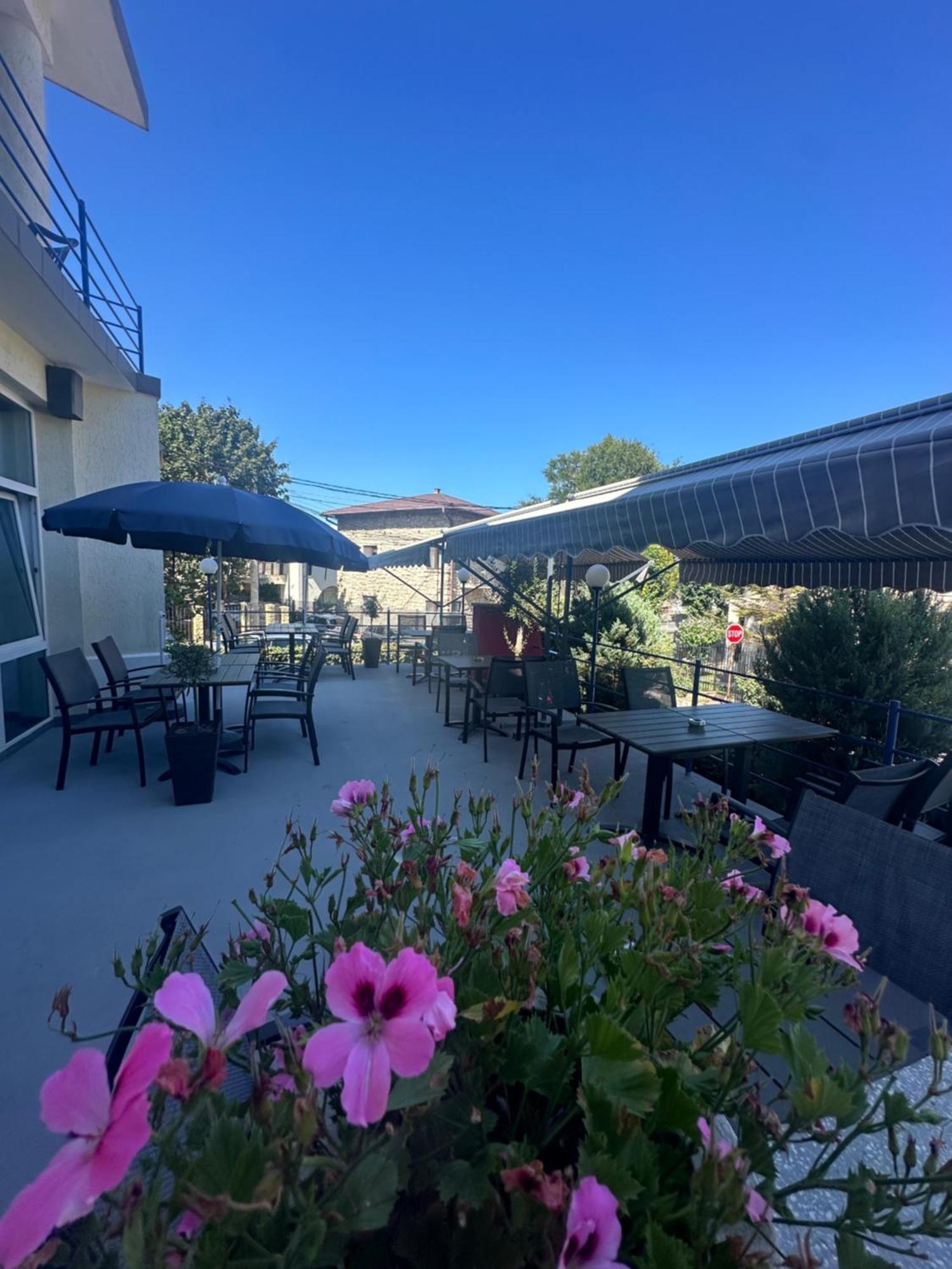 Plexus Boutique Hotel Eforie Sud  Exterior photo