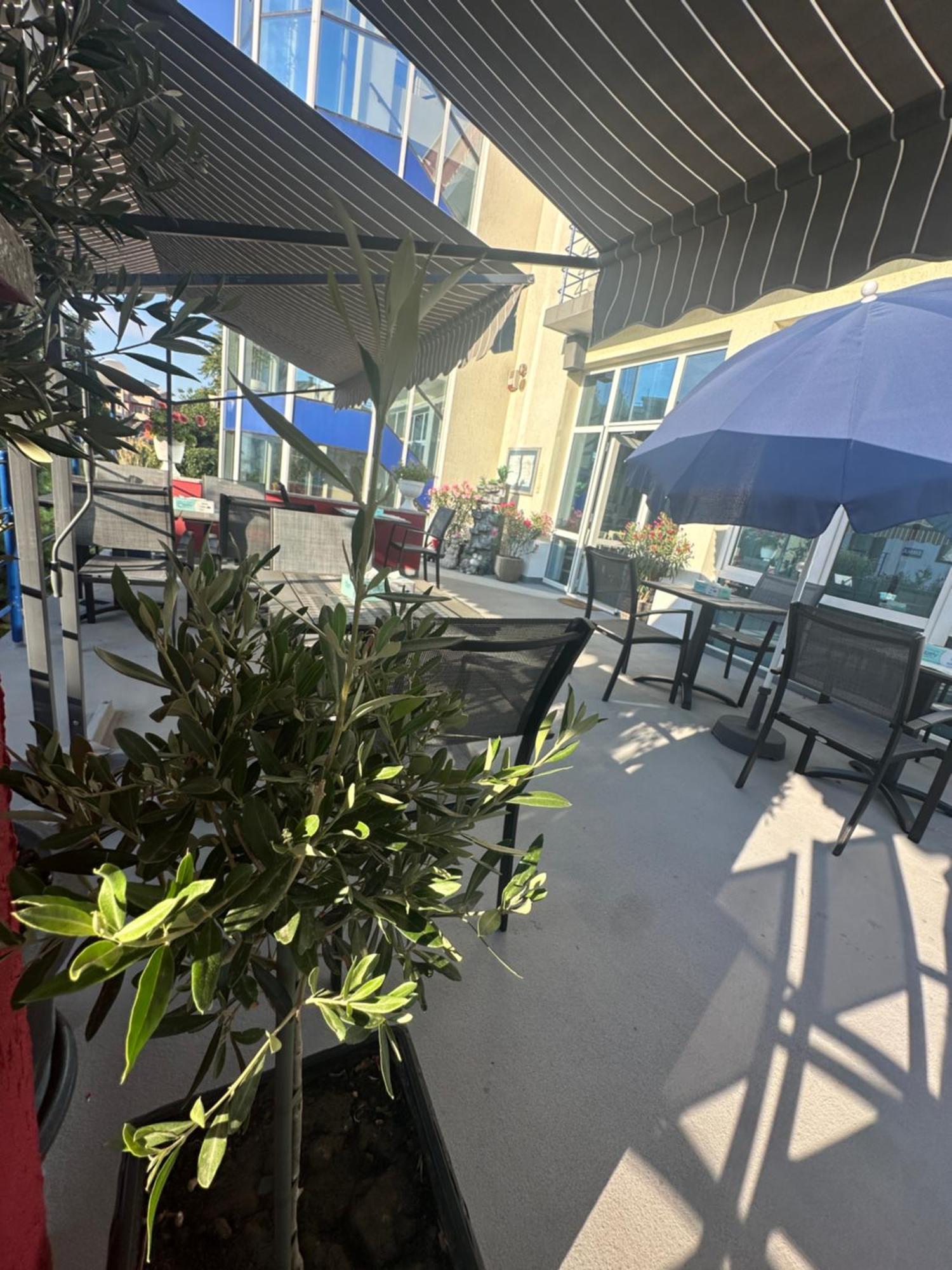 Plexus Boutique Hotel Eforie Sud  Exterior photo